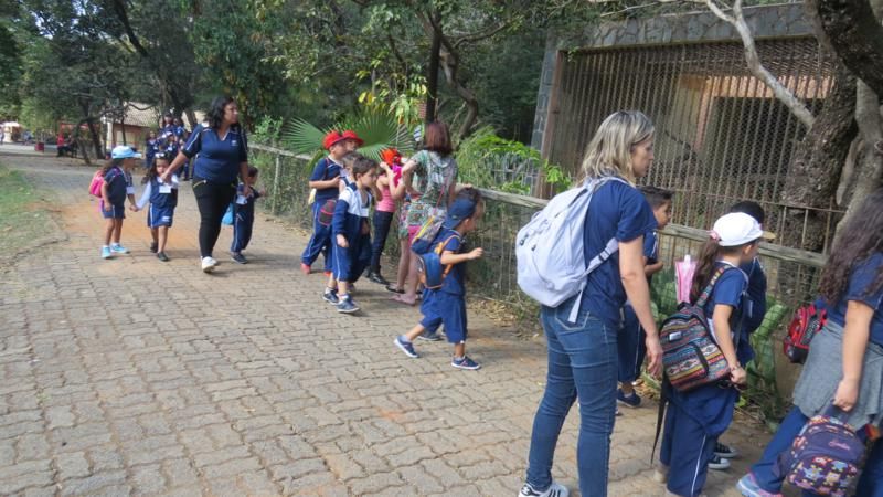 excursao-ao-zoologico-bh-