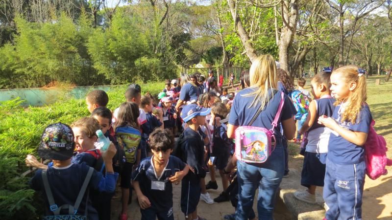 excursao-ao-zoologico-bh-