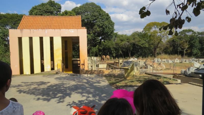 excursao-ao-zoologico-bh-