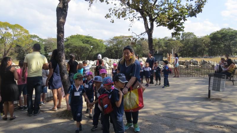 excursao-ao-zoologico-bh-