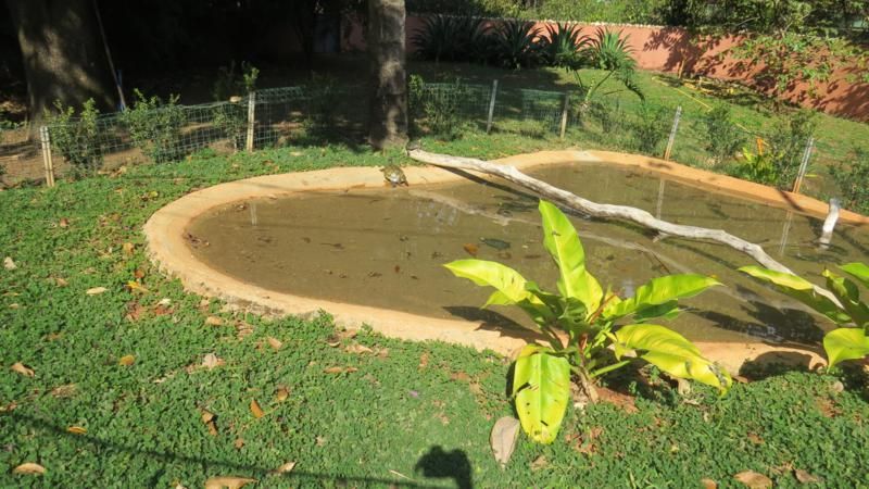 excursao-ao-zoologico-bh-