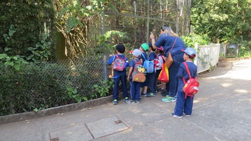 excursao-ao-zoologico-bh-