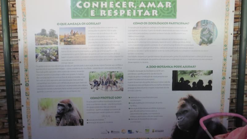 excursao-ao-zoologico-bh-