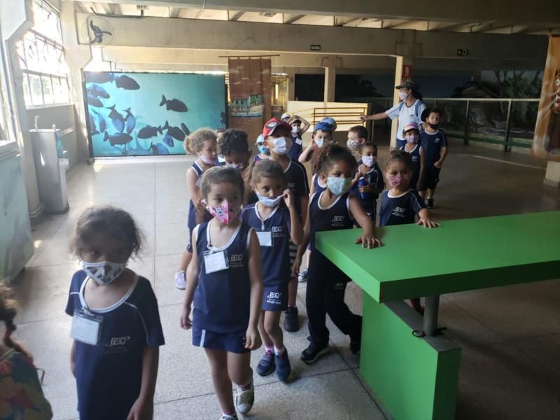 excursao-ao-zoologico-e-aquario-de-belo-horizonte-