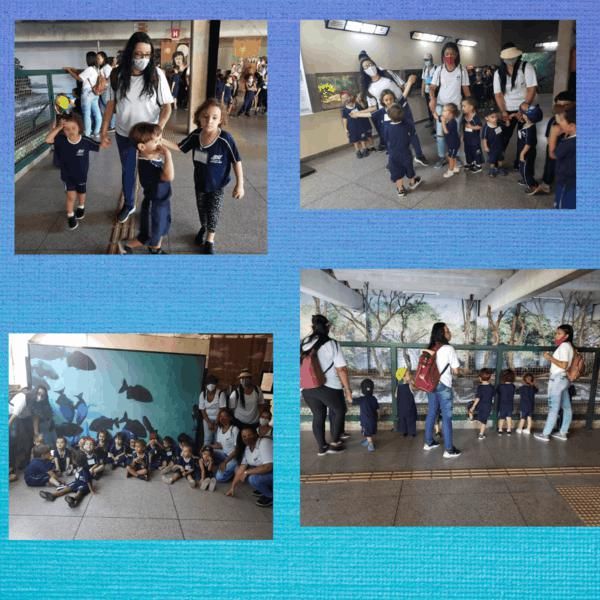 excursao-ao-zoologico-e-aquario-de-belo-horizonte-