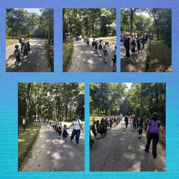excursao-ao-zoologico-e-aquario-de-belo-horizonte-