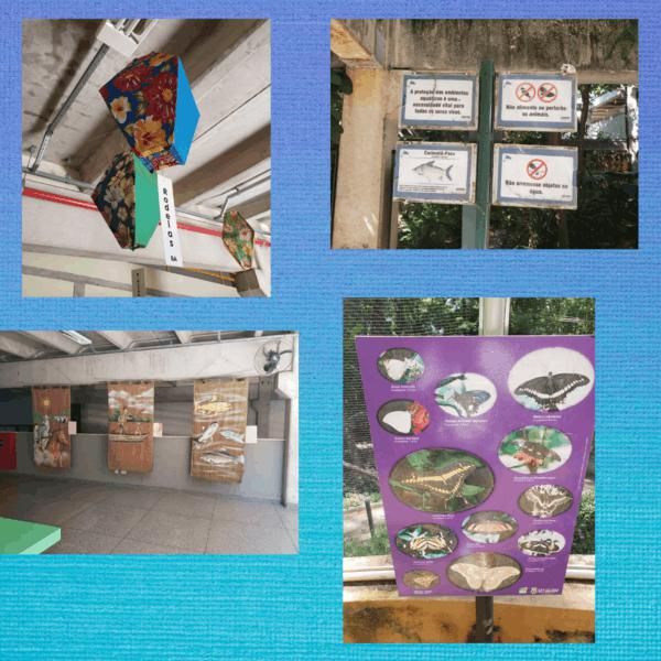 excursao-ao-zoologico-e-aquario-de-belo-horizonte-