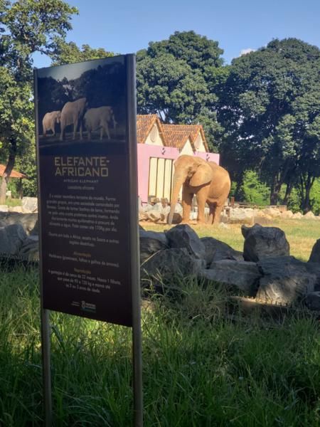excursao-ao-zoologico-e-aquario-de-belo-horizonte-