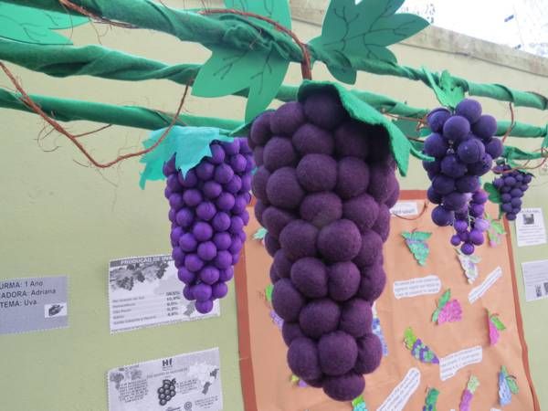 festa-juninha-na-escola-