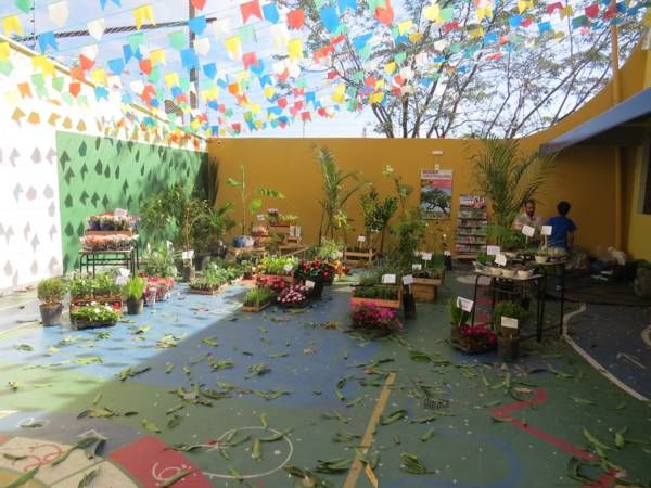 festa-juninha-na-escola-