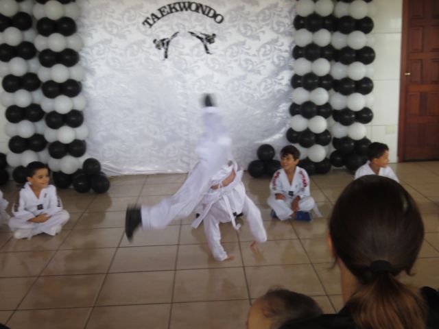 taekwondo-em-santa-luzia-